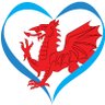WelshHFNF's profile picture. Supporting heart failure nurses in Wales to achieve excellence in patient care Cefnogi nyrsy s arbenigol methiant y calon i gyflawni gofal rhagorol yng Nghymru