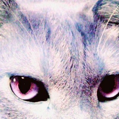 詩/言葉/SONGを遺したい/新詩集『あたわり』は東京都世田谷区豪徳寺の七月堂さんにて販売中https://t.co/d6OauUC8gA詩ZINE『七月と猫と』も併せて
/note→https://t.co/DeYEepPkce /ご依頼等はDMで✉️🐐