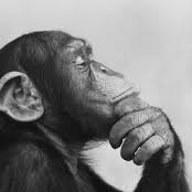 EldeshonestoAbe's profile picture. Este canal es para aprender y divertirse..... vamos sean des....honestos...