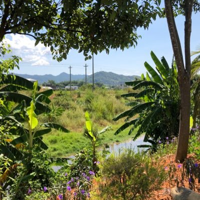 test63680653's profile picture. 