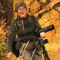 gianna petrucci (@giannapetrucci) 's Twitter Profile