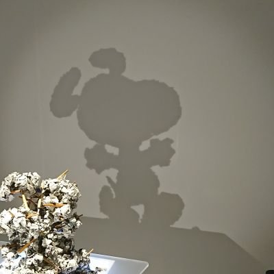 mizukusasodate's profile picture. 日常や情報とお取引などなどメインです。