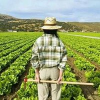 Agroproductiva(@Agroproductiva3) 's Twitter Profile Photo