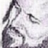 tamagochitoga's profile picture. I exist without my own consent