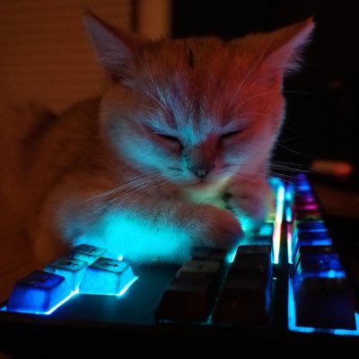 Network Automation Engineer at Atruvia, likes blinken lights on network equipment, automation and monitoring.
Network and servers @cfkn LAN Party