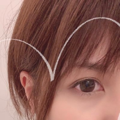 ちゃんまる Chanmaru Y Twitter ちゃんまる Chanmaru Y Twitter
