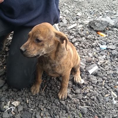 Negro67121463's profile picture. ser divertido