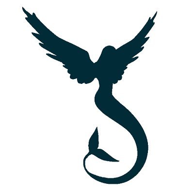 krystell_bonnet's profile picture. AtlanticOrigin marque de tee shirt 100 % bio écoresponsable made in Sud Ouest au bord de l'Océan - Création française. Lacanau.