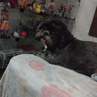 Nan Struff (@nanstruff) 's Twitter Profile