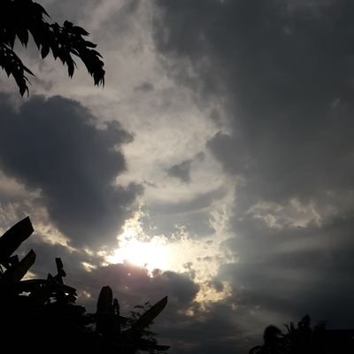 TYAJA1309's profile picture. 🐝🐰