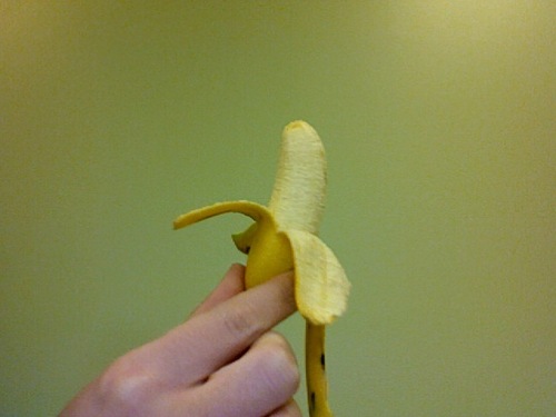 annascrilliams's profile picture. I dress conservatively on halloween.