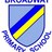 broadwayprimary's profile image
