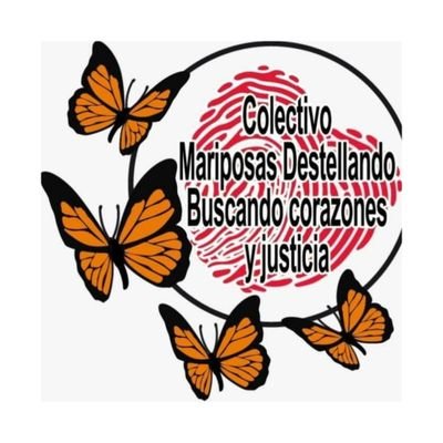 EL Colectivo se conforma de FAMILIARES en búsqueda de VERDAD Y JUSTICIA, de diferentes estados (Edo de Méx, CDMX,Nayarit ,Gto) NO PARAREMOS HASTA ENCONTRARLOS.