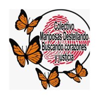 Mariposas Buscando Corazones y Justicia Nacional.(@CMariposasD) 's Twitter Profileg