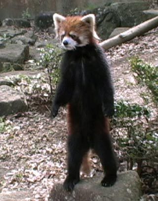 nobutarou's profile picture. 