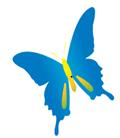 Massage Therapy, Infrared Sauna, Colon Hydrotherapy, Lymphedema Therapy, Naturopathic doctors, Chiropractor, Acupuncture,.