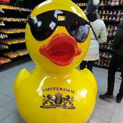 Profile Picture of Andy_K (@andrew_kilduff) on Twitter
