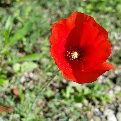 Si vous n'aimez pas ce que je dis, vous avez peut-être raison.