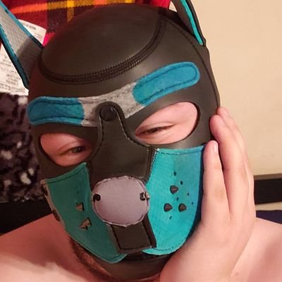 KogaPup's profile picture. M 26 Pup. SWITCH. Chubby. Looking for friends, fun, and good convo. I encourage messaging me!
(May contain NSFW 18+)