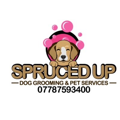 DogSpruced's profile picture. 