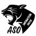 ASO (@SWCASO) Twitter profile photo