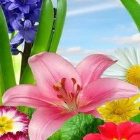 Abdullahi Bilazi (@abdullahibilaz1) 's Twitter Profile