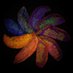 Suchita Nadkarni (@scisuchita) Twitter profile photo Suchita Nadkarni (@scisuchita) Twitter profile photo