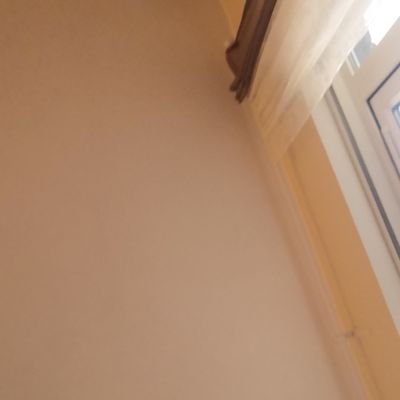 murad845996591's profile picture. 🚫