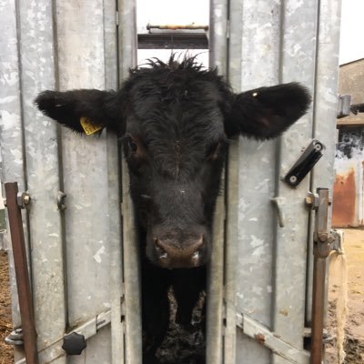 mikepgerrard's profile picture. Hoping for the best