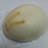 クラムボン