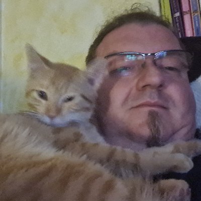 OlliD45623650's profile picture. 