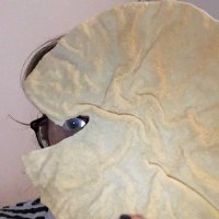 Lucy Lill (@lucyvitalsigns) 's Twitter Profile