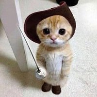 Brisu (@brisucs) 's Twitter Profile