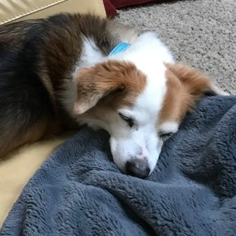 gregoryware's profile picture. 