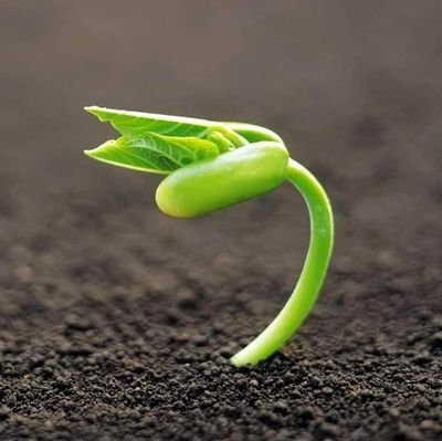 PTygcmLdILKPIlm's profile picture. Temiz vicdan en rahat yastıktır !  🌱