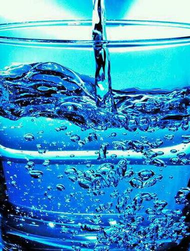 dongirl01's profile picture. 