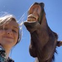 Courtney Gibbs - @cggibbs9 - Twitter