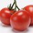 LycopeneMan