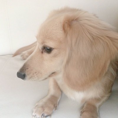 毎日必死に生きていく
