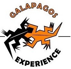 Galapagos Experience is specialized in Galapagos cruises, diving tours, Andes, Amazon Jungle, Climbing, Trekking, birdwatching and all kinds of tours in Ecuador