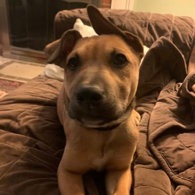 TriciaL95811139's profile picture. 