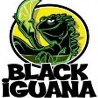 BLACK iGUANA(@blackiguananews) 's Twitter Profile Photo