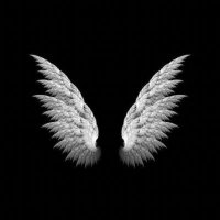 layla (@psychologist___) 's Twitter Profile Photo layla (@psychologist___) 's Twitter Profile Photo