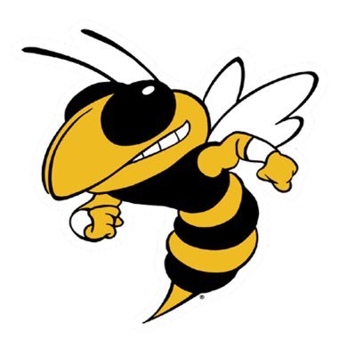 Official Twitter Account of the Clinton Lady Jackets Basketball Program. #BrickByBrick