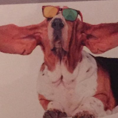 lukeforpuns's profile picture. Big Nintendo Nerd and Pun guy. Very interested in video games - not just playing them. Also did I mention I like Nintendo?