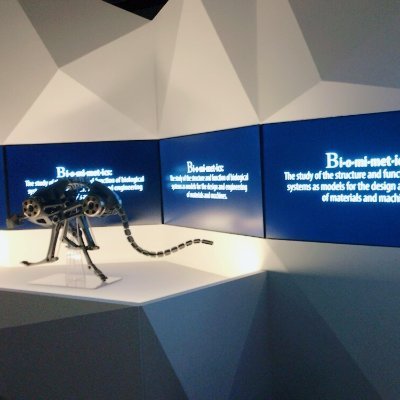 CurieuxJungyeon's profile picture. Jungyeon Lee