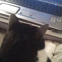 Patricia Anne Reeves - @Topaze4 - Twitter