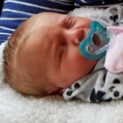 Ilovepandas1991's profile picture. 