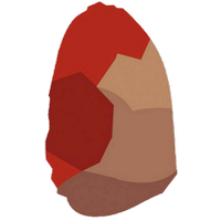CENIEH (@cenieh) 's Twitter Profile