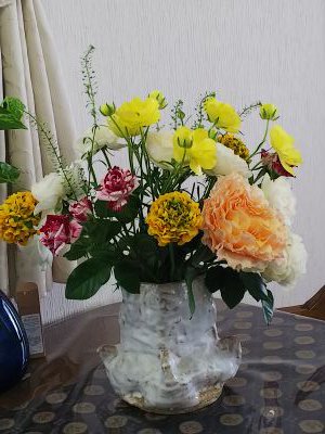 小林雅子 Eve9q4tqaqrdlwq Twitter